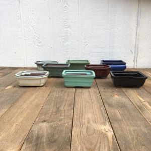 6" Glazed Bonsai Pots